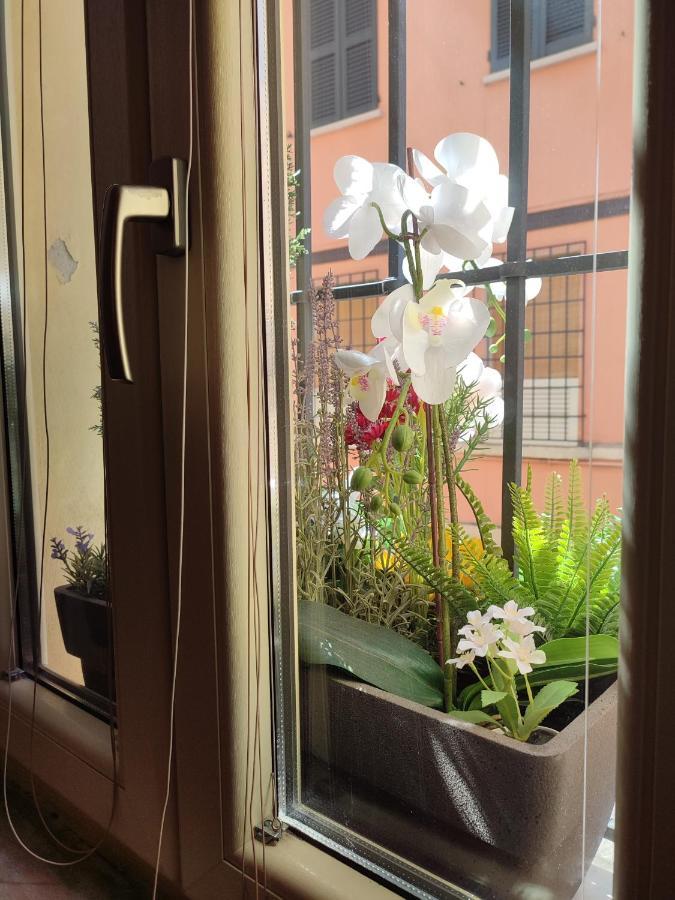 Gasthuis Casa Aurora 3*